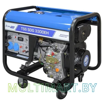 Дизельный генератор ТСС SDG 3300EH (100044) картинка 2